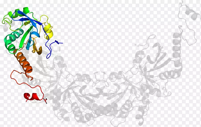 ������Ϊ���������-������