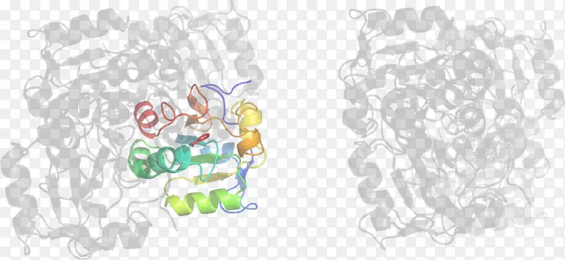 ��ͨ��-������