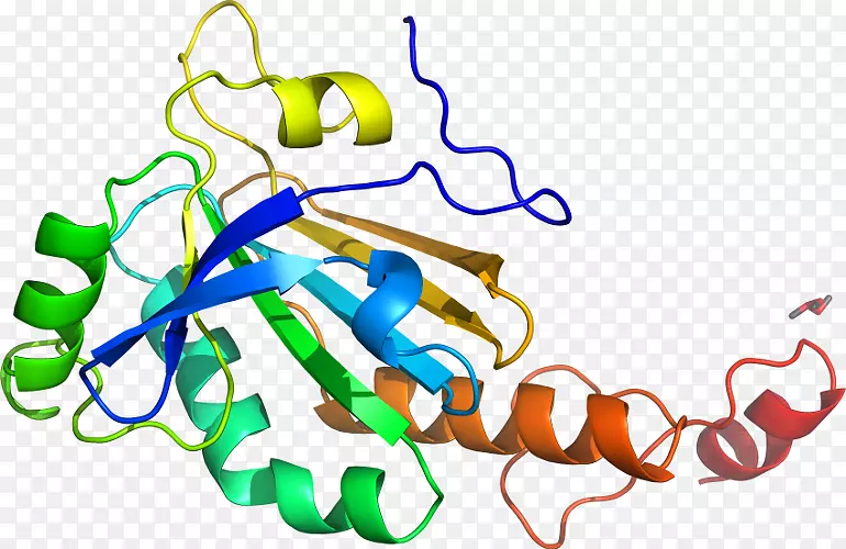 �ߵ������-��-������