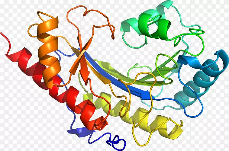 ���������л����߼�������-������