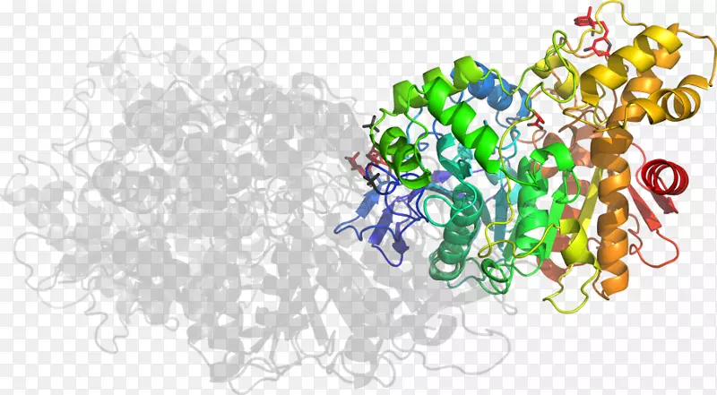 ͼ������������-������