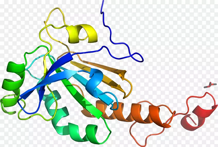 �ߵ������-��-������