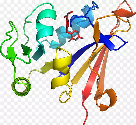 ƽ����Ƽ�����.���-������