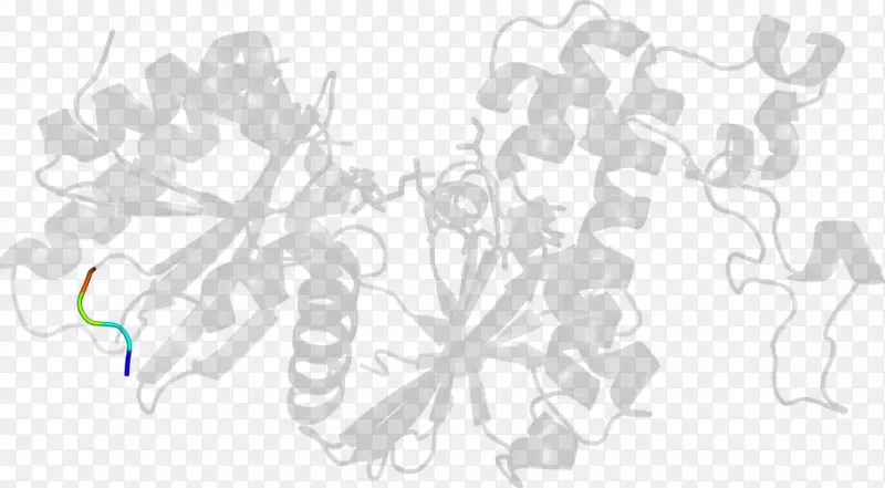 ��ɫ���-������