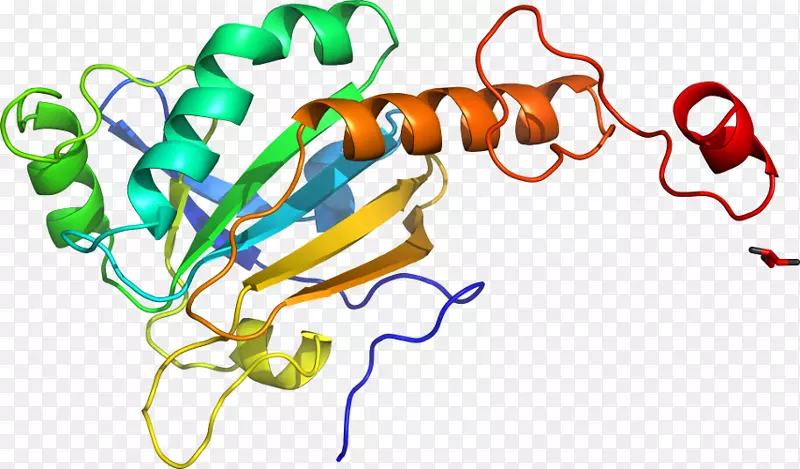 �ߵ������������-������