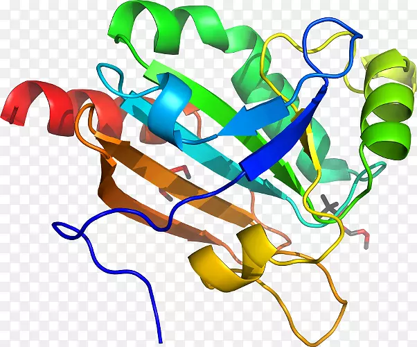 �ߵ������-��-������