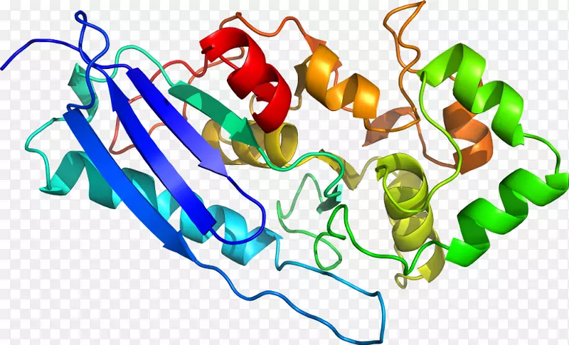 �л����߲��߼�����-�߲�-������