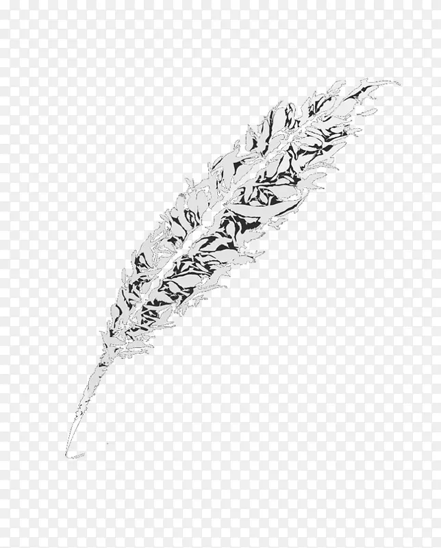 ��ɫ��ɫ��ëͼ��-��ë-������