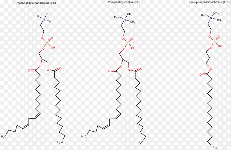 ֱ�ߵ��ͼ-��-������