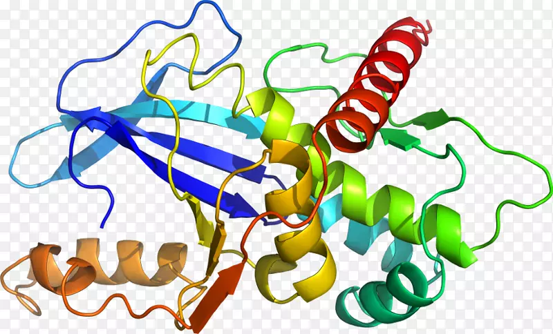 ���洫���߼�����-����-������