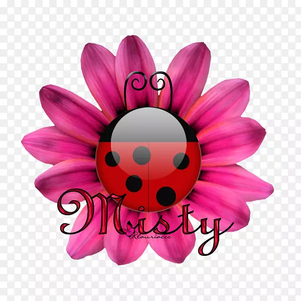 Torte Ciambella�����ǹ���ʳ-������