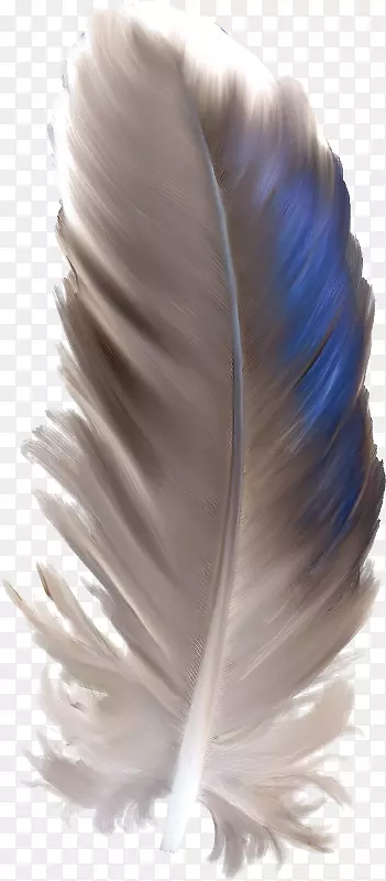 ��ëˮ�ʻ��ֻ�ˮ������ë-������