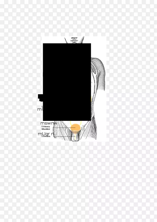 �����������-������