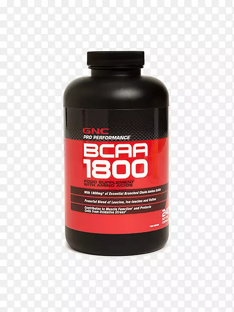 ��ʳ�����֧��������������-������