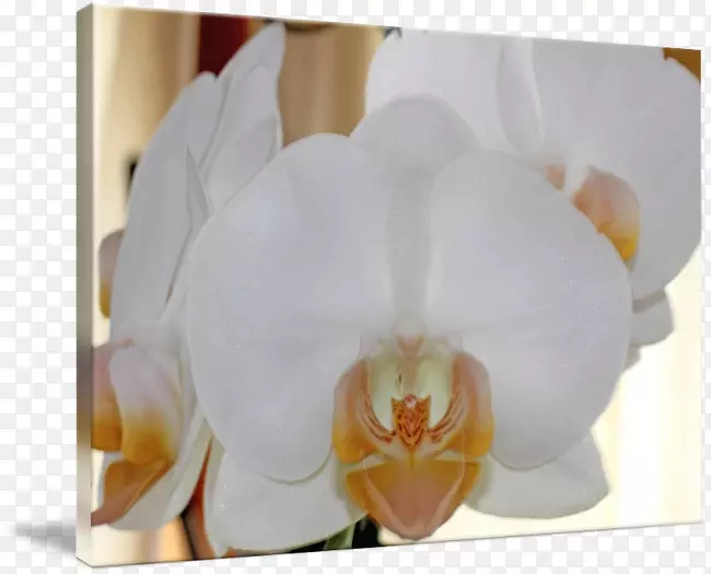 �ɶ�������������-������