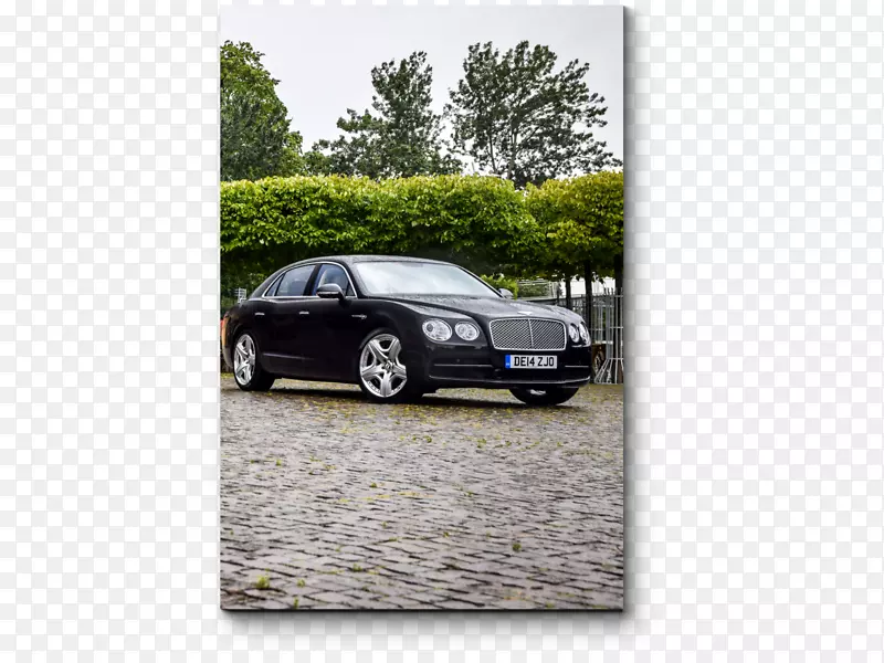 �γ����ţ����ͽγ��������ͽγ������нγ�-������