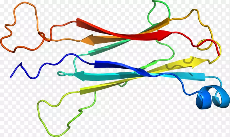 �ߵ������-��-������