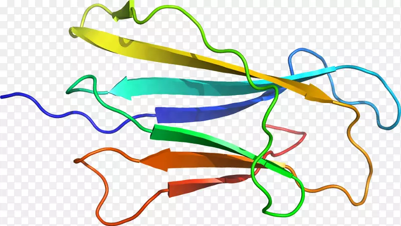 �ߵ������-��-������