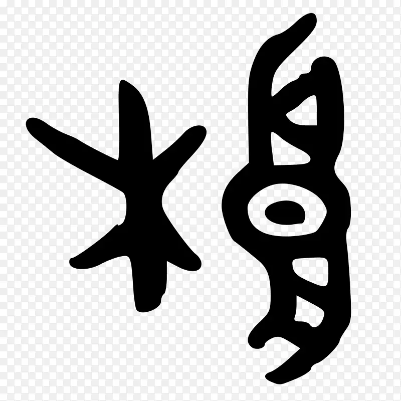 ��ָ�߰�ɫ��������-������