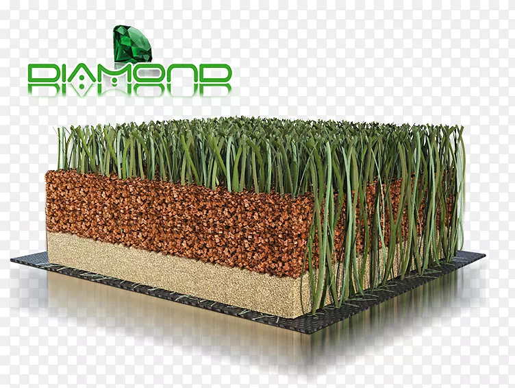 �ݵ�-���򳡲�ƺ-������