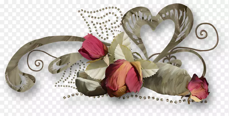 ���Ĳ��Ͱ���ʱ��-Ůʿװ��-������