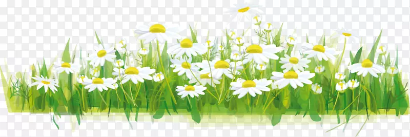 ��������0���ͼ���-��-������