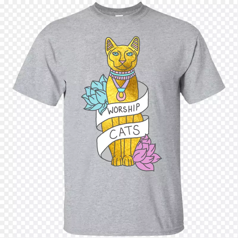 ����t��ñ����װ��������-������