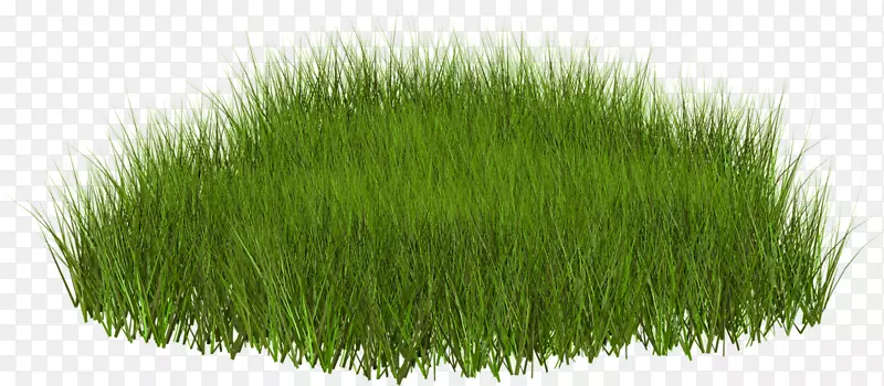 ��ƺ�����ֽ������-������