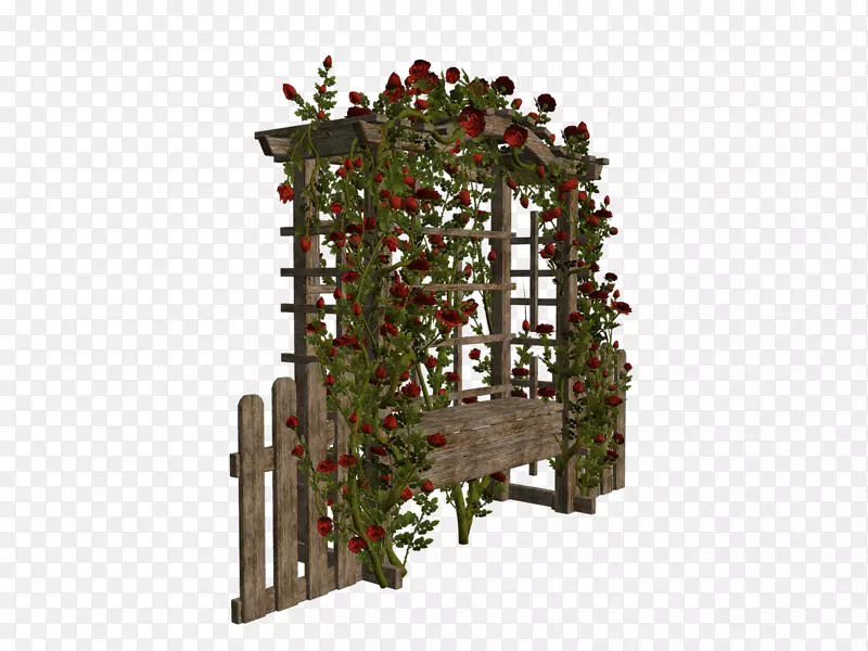 gimp Picasa Corel-arbour-������