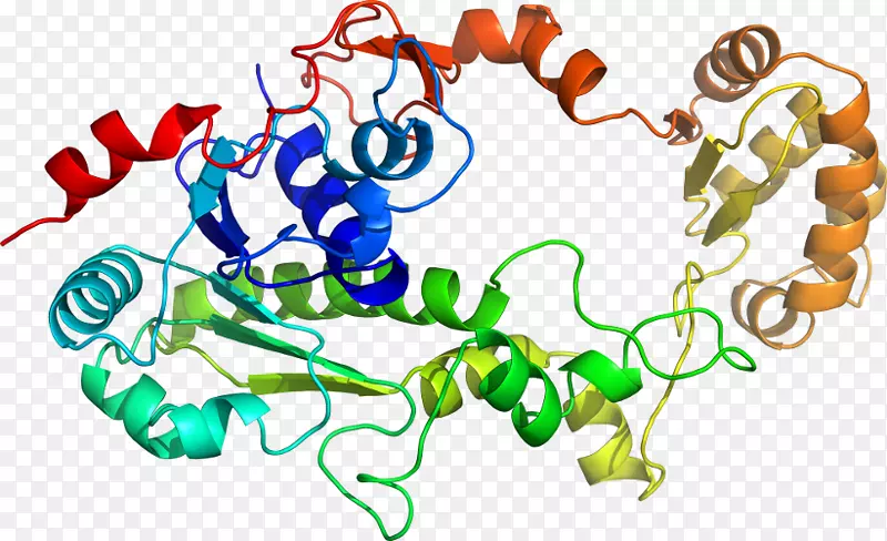 ���������л����߼�������-������