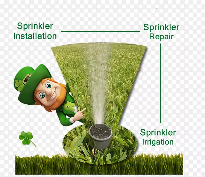 ��ƺ��.���-������