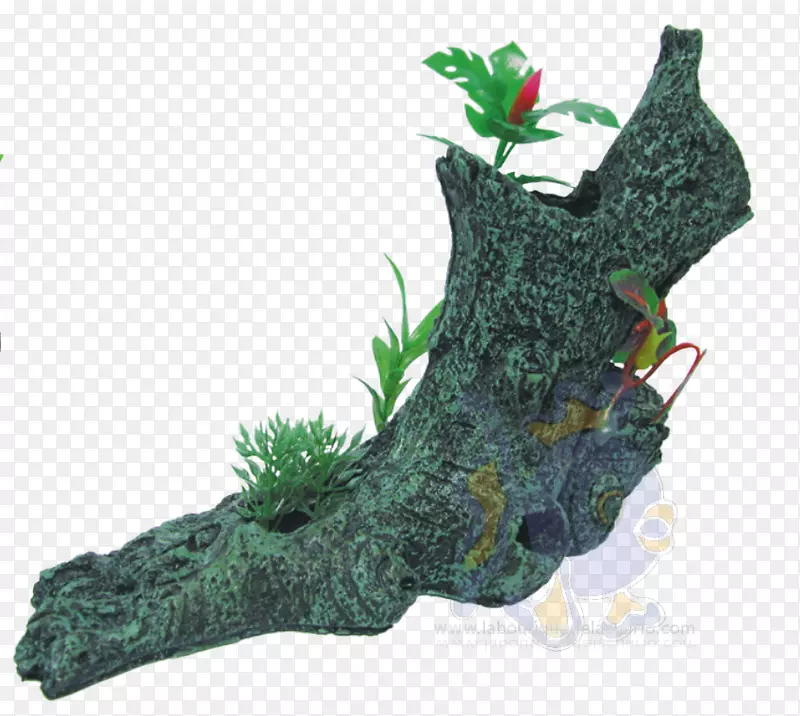 ������-��-������