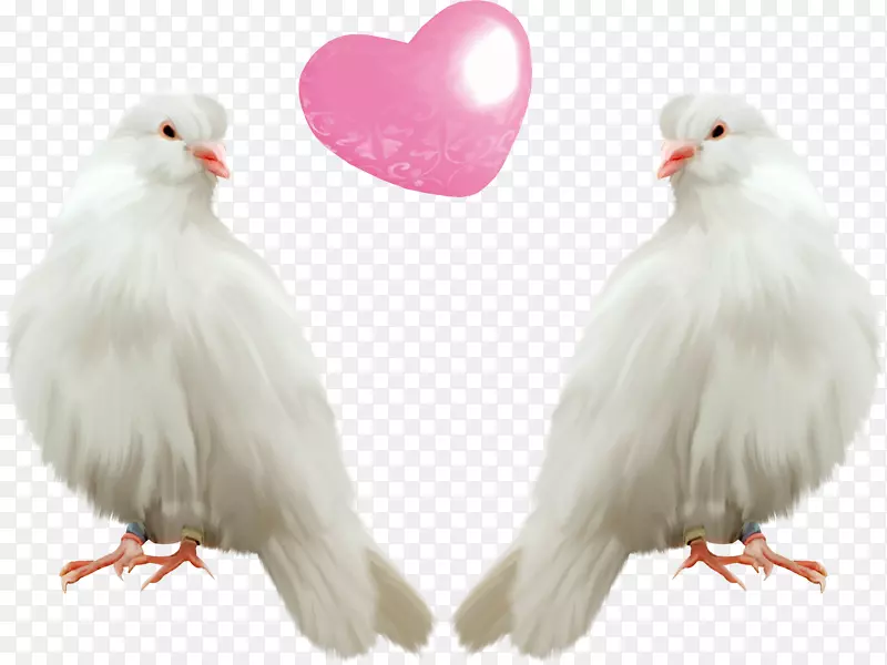 ��ʳ�ײ����廨��-����-������