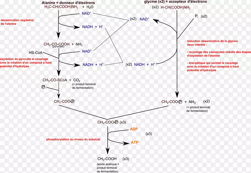 ֱ�ߵ����-������