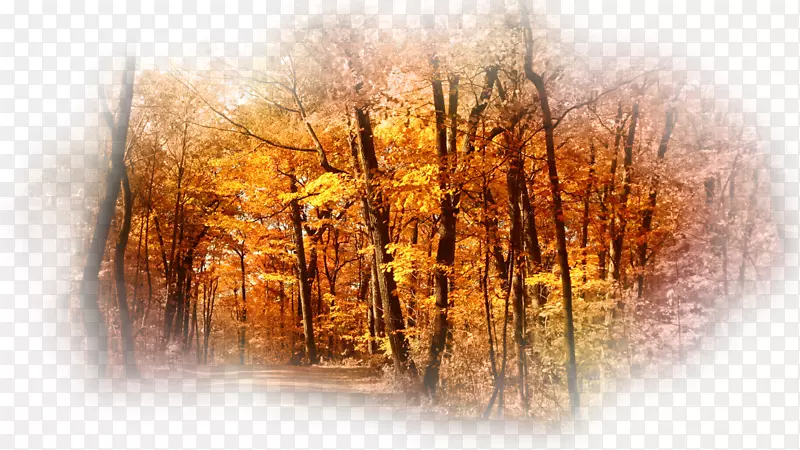 �����ֽ�����������滷����������-������