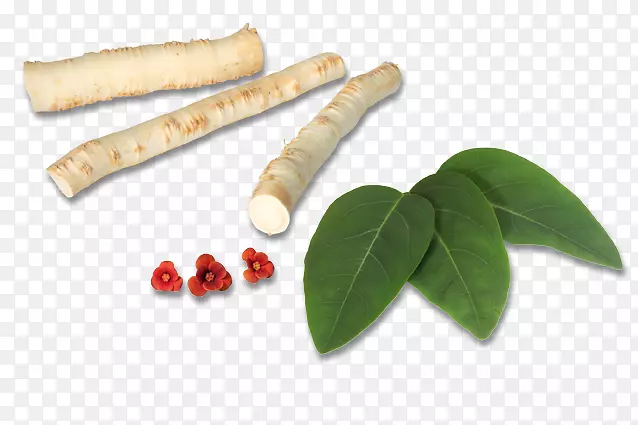 ��������ȻʳƷ�߲˳����-������