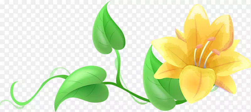 ���ܻ������-����-������