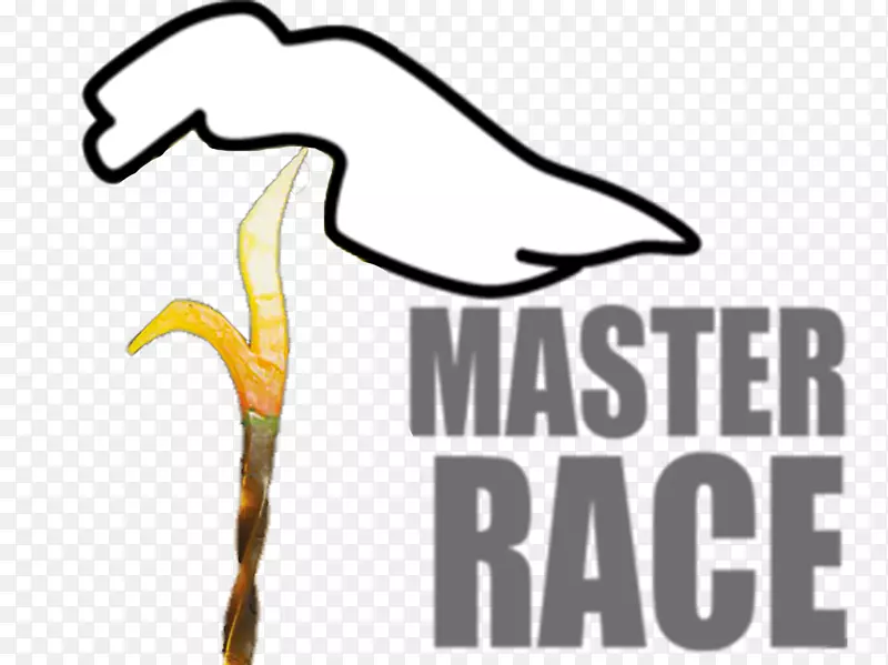 T����ñ����ɫ����Schenkel������˾-t��-������