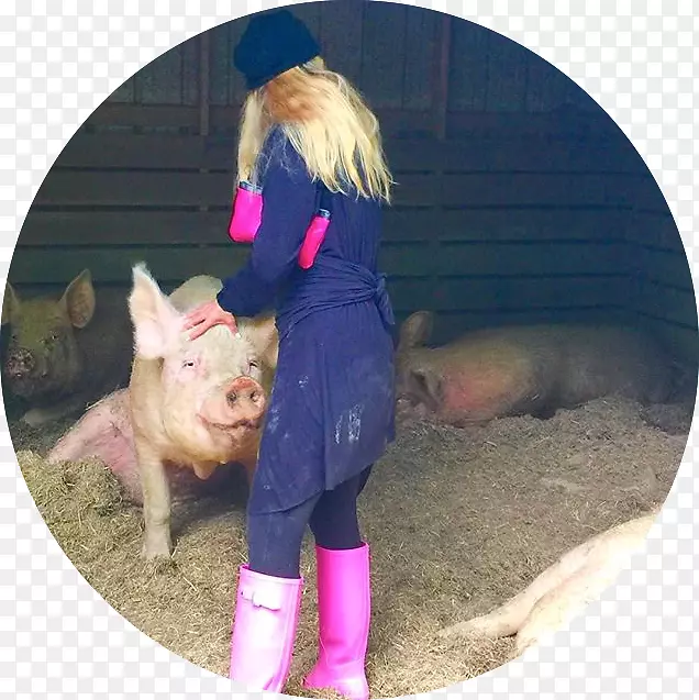 ���ۺ�m��С����-��-������