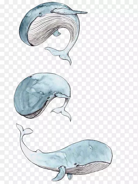 ˮ�ʻ�����-������