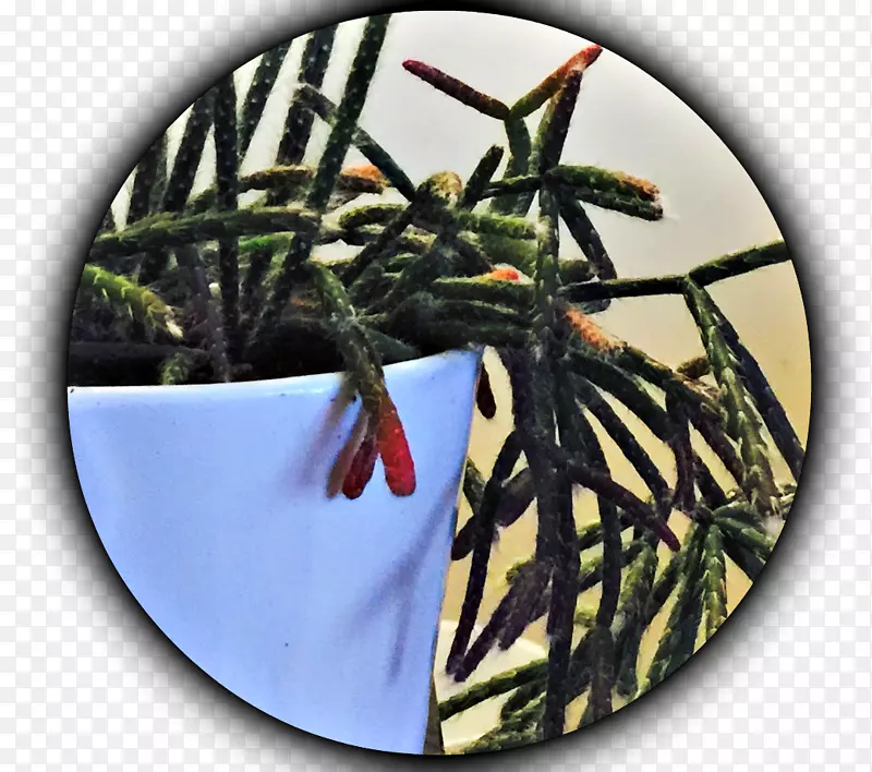 �������������2M��-������