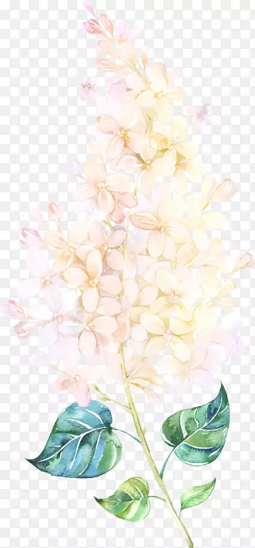 ����ˮ�ʻ��������-����-������