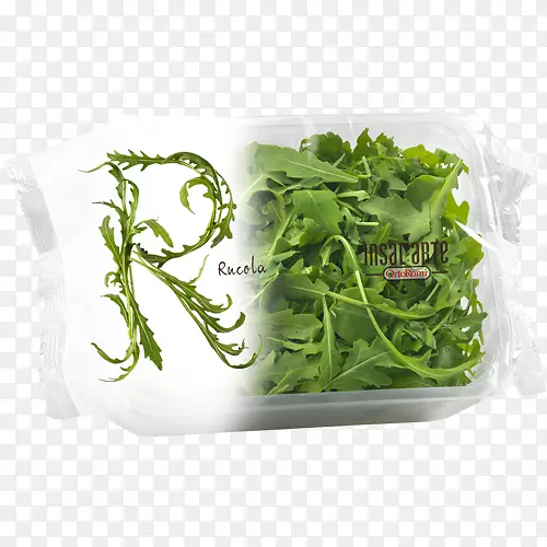 �߲�ˮ������ɫ��-������