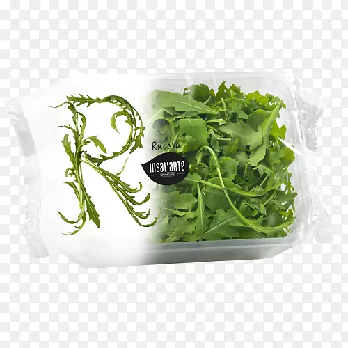 ݫ��ɫ���߲˲���ɳ��-������