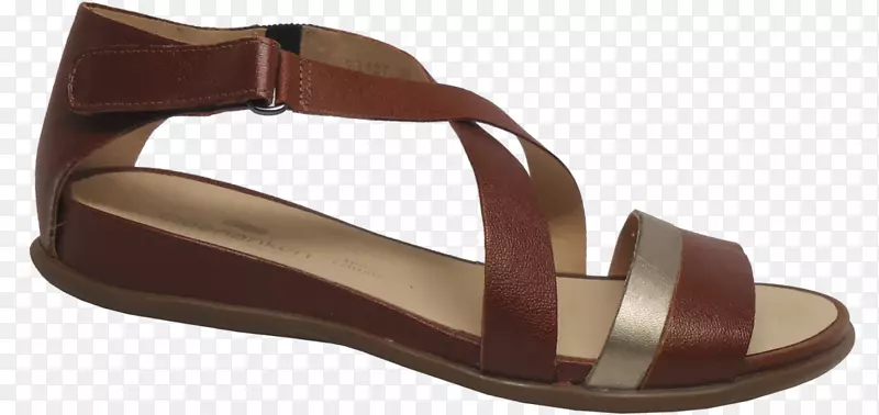 ����Ь-������