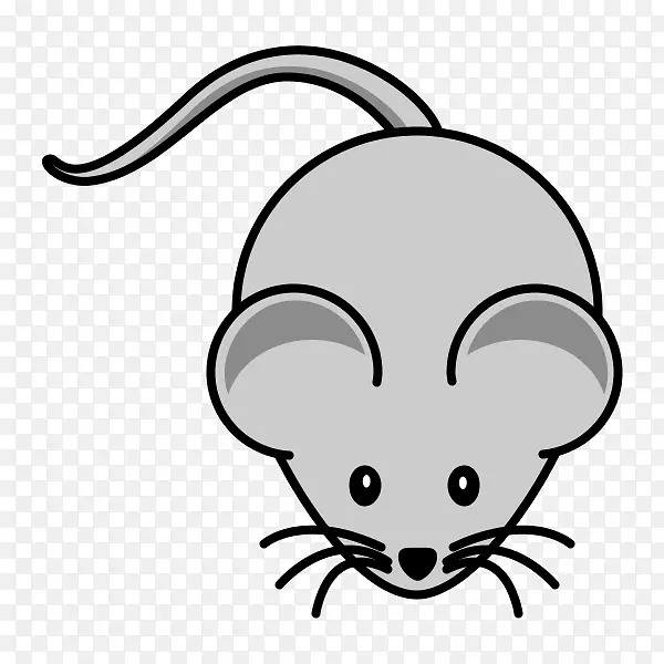 ������궯��������������-�������-������