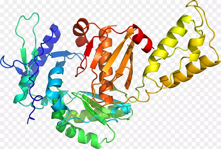 ���������л����߼�������-������