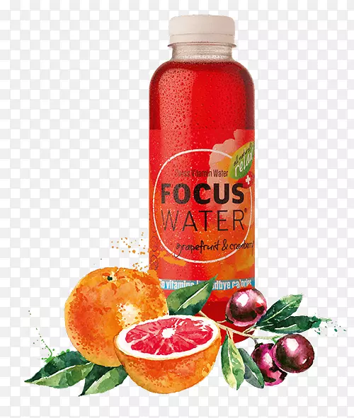 Ѫ��ʯ��֭ʳƷ�����-������