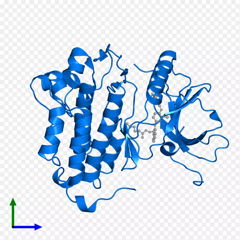 �ߵ������������-������