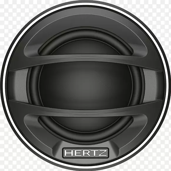 �����ڸ������µ�ɭ�г���������-������